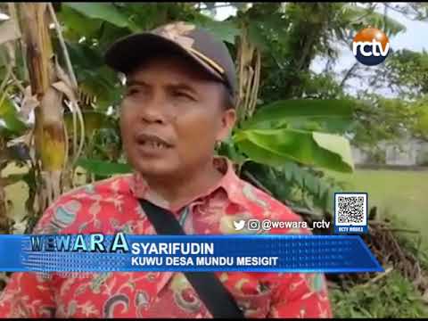 Desa Mundu Mesigit Melakukan Pengukuran Batas Wilayah