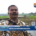 Pemdes Wilulang Gandeng Bumdes Dukung Sektor Pertanian