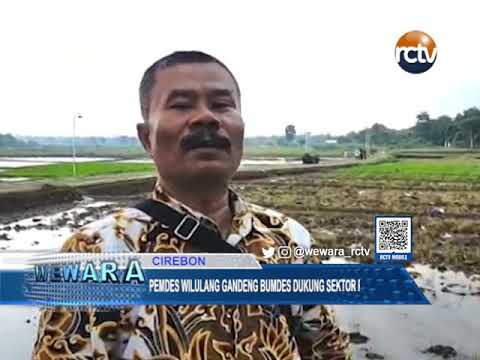 Pemdes Wilulang Gandeng Bumdes Dukung Sektor Pertanian