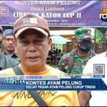 Kontes Ayam Pelung