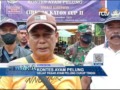 Kontes Ayam Pelung