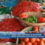 Harga Cabai Kian Pedas Jelang Nataru