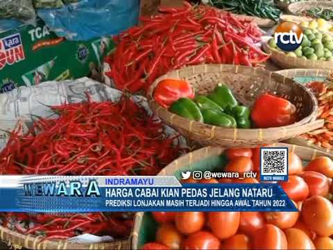 Harga Cabai Kian Pedas Jelang Nataru