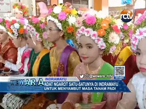 Adat Ngarot Satu-Satunya di Indramayu