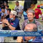 Kompetisi Burung Perkutut Lokal