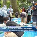 Tradisi Sedekah Bumi di Desa Padarek