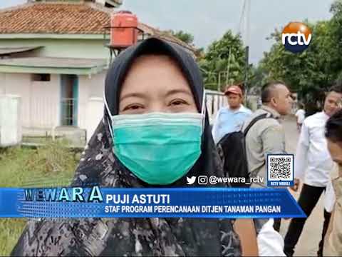 Tindak Lanjut Korporasi Petani di Desa Sibubut