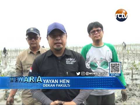 Penanaman 1000 Bibit Pohon Mangrove