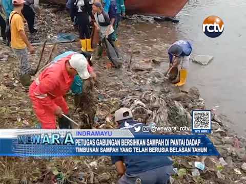 Petugas Gabungan Bersihkan Sampah di Pantai Dadap