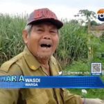 TPS Desa Beringin Tidak Terkelola Maksimal