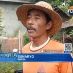 Sungai Cimanuk di Pasekan Terbangkalai