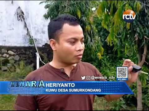 Senderan Irigasi Amblas Sepanjang 6 Meter
