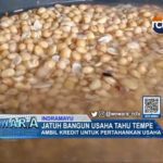 Jatuh Bangun Usaha Tahu Tempe