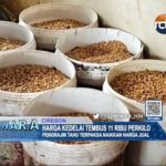 Harga Kedelai Tembus 11 Ribu Perkilo