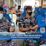 Lanal Cirebon Tebar Ribuan Ikan Nila