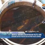 Warga Membudidayakan Kutu Air
