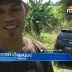 Misteri Mobil Pemudik Tersesat