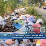 TPS Liar Tumbuh Subur Di Wilayah Timur