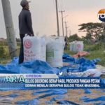 Bulog Didorong Serap Hasil Produksi Pangan Petani