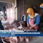 Kenaikan Harga Telur Ayam dan Ayam Potong Sudah Jadi Tradisi Lebaran