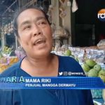 Pemudik Buru Oleh-Oleh Mangga Dermayu