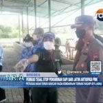 Pemkab Tegal Stop Pengiriman Sapi Dari Jatim Antisipasi PMK