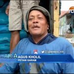 Harga Garam Lokal Merangkak Naik