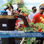 Bupati Acep Purnama Buka Kontes Bonsai