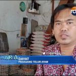 Harga Telur Ayam Melonjak