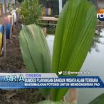 Bumdes Playangan Bangun Wisata Alam Terbuka