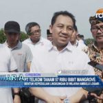 PT Telkom Tanam 57 Ribu Bibit Mangrove