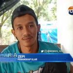 Geger Temuan Ular Sanca Kembang