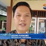 Petani Merugi Karena Tanam Ulang Padi 3 Hingga 5 Kali Setahun