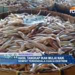 Hasil Tangkap Ikan Mulai Naik