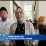 Ribuan Nakes Honorer di Brebes Geruduk DPRD Tuntut Masuk P3K