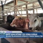 DKPPP akan Intensif Cek Hewan Kurban