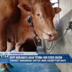 DKPP Indramayu akan Terima 1600 Dosis Vaksin