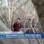 Wisata Mangrove Mundu Pesisir Segera Dibuka