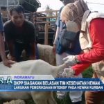 DKPP Siagakan Belasan Tim Kesehatan Hewan