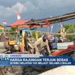 Harga Rajungan Terjun Bebas