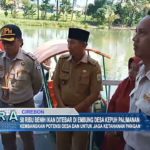 50 Ribu Benih Ikan Ditebar di Embung Desa Kepuh Palimanan