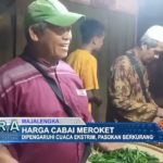 Harga Cabai Meroket