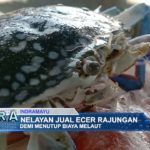 Nelayan Jual Ecer Rajungan