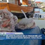 Nelayan Rajungan Mulai Enggan Melaut