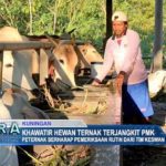 Khawatir Hewan Ternak Terjangkit PMK