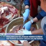 Pengawasan Kelayakan Hewan Kurban