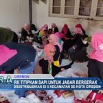 RK Titipkan Sapi untuk Jabar Bergerak