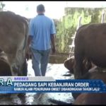 Pedagang Sapi Kebanjiran Order