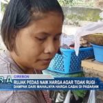 Rujak Pedas Naik Harga Agar Tidak Rugi