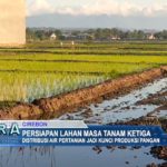 Persiapan Lahan Masa Tanam Ketiga